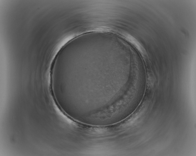 X0000111351095200907171138