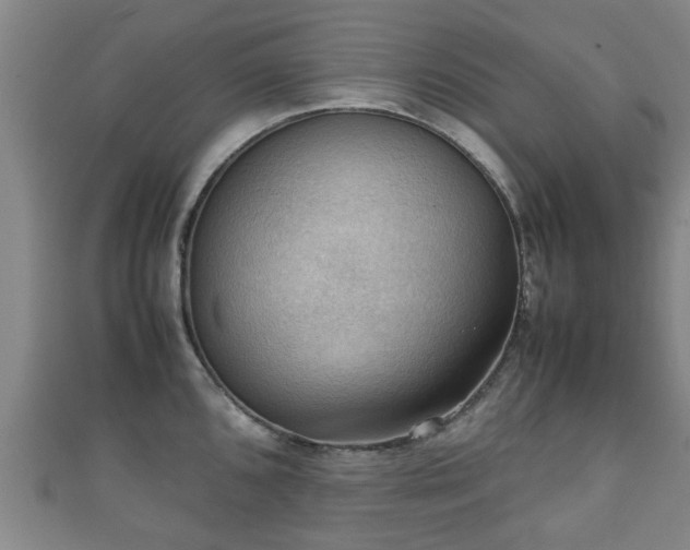 X0000111351096200907171138