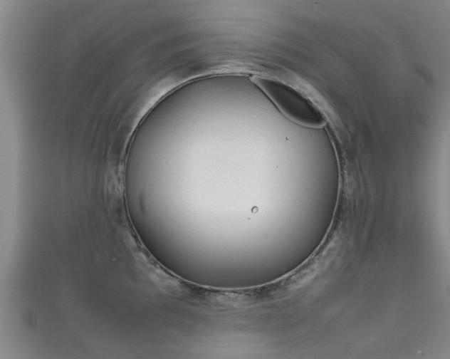 X0000111351097200907171138