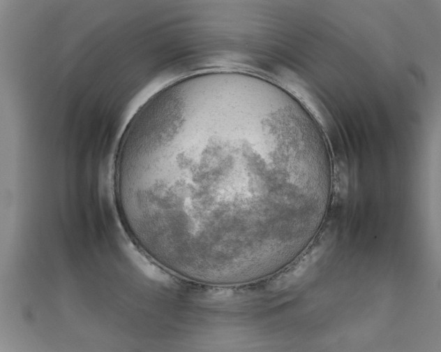 X0000111351098200907171138