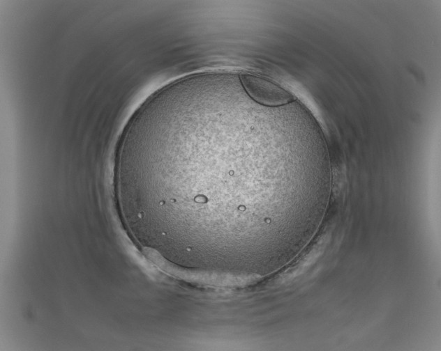 X0000111351099200907171138