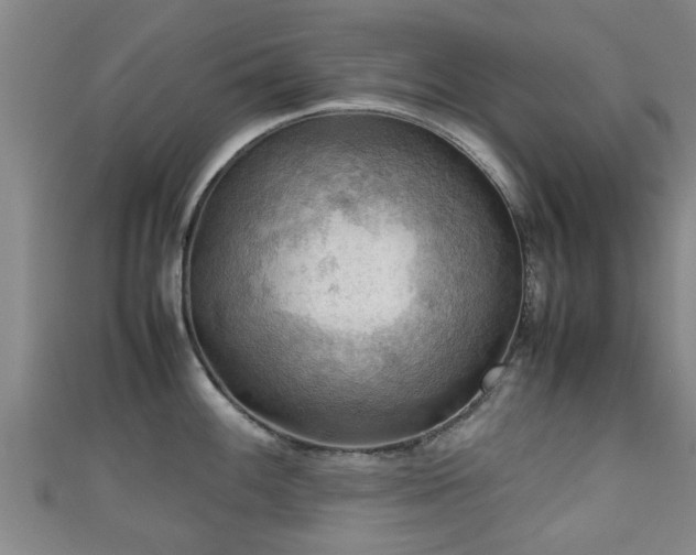 X0000111351100200907171138