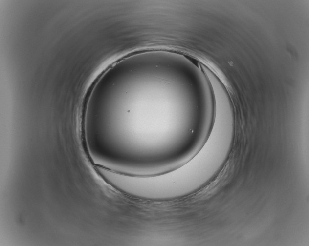 X0000111351101200907171137