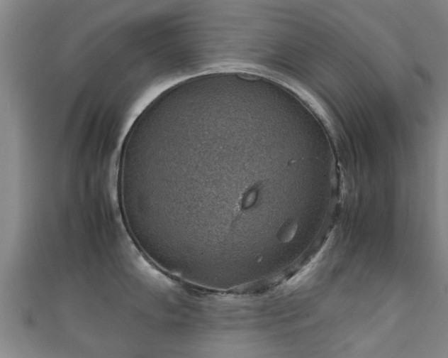 X0000111351102200907171137