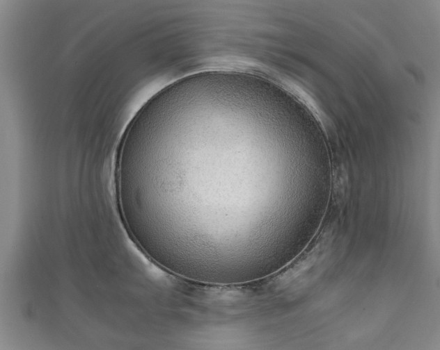 X0000111351103200907171137