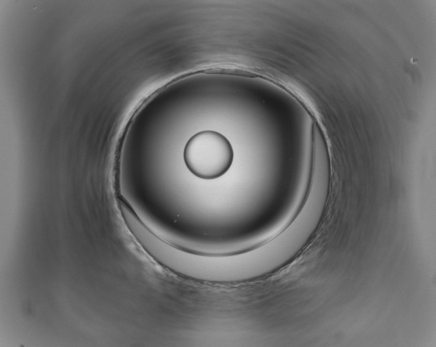 X0000111351104200907171137