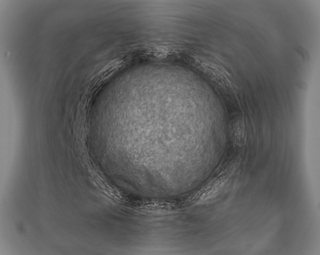 X0000111351105200907171137