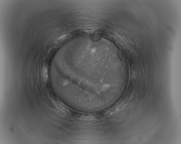 X0000111351106200907171137