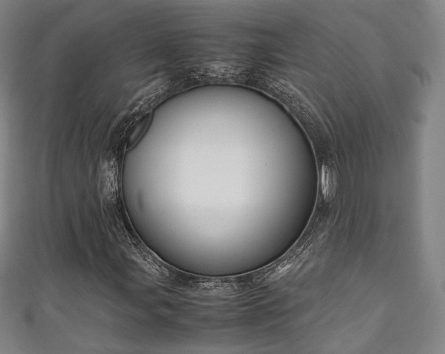 X0000111351107200907171137