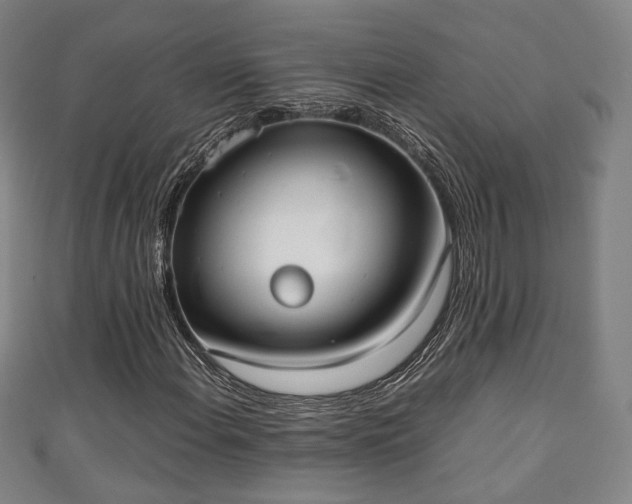 X0000111351108200907171137