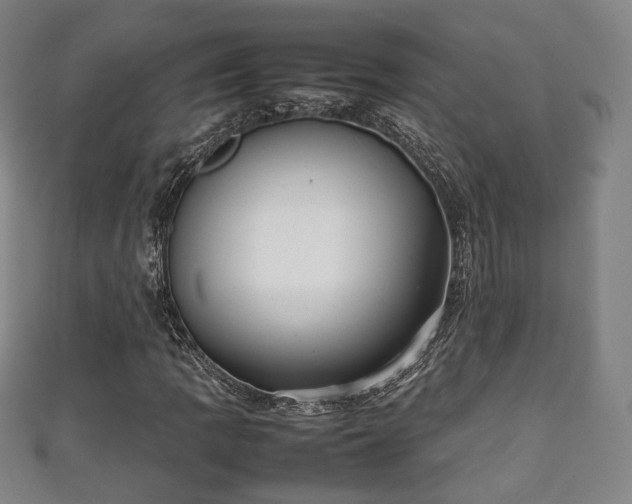 X0000111351109200907171137