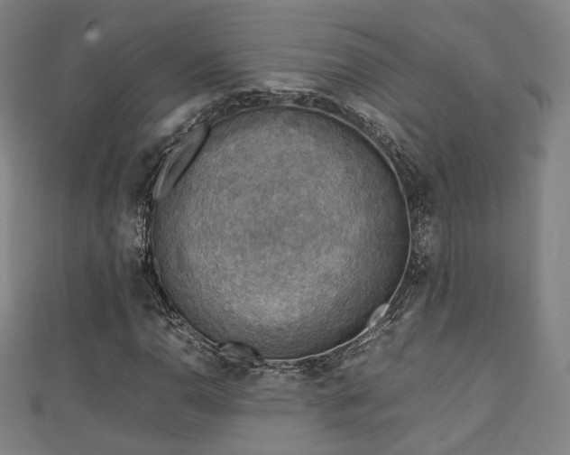 X0000111351110200907171137