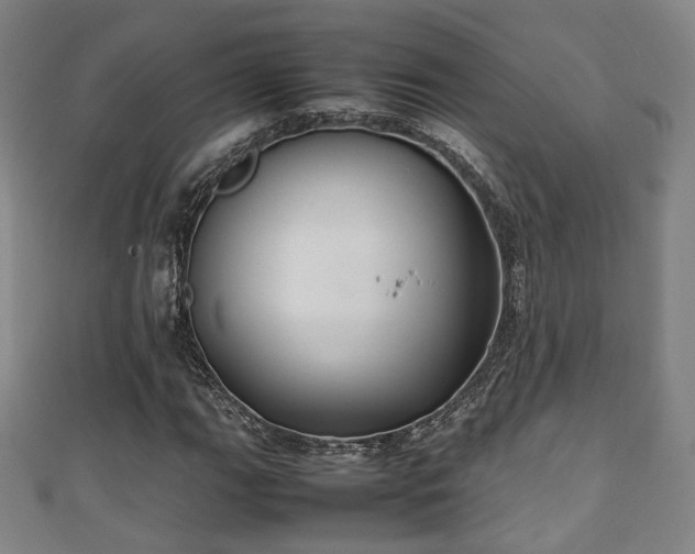 X0000111351111200907171137