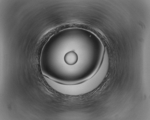 X0000111351112200907171137