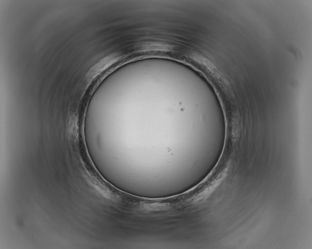 X0000111351113200907171137