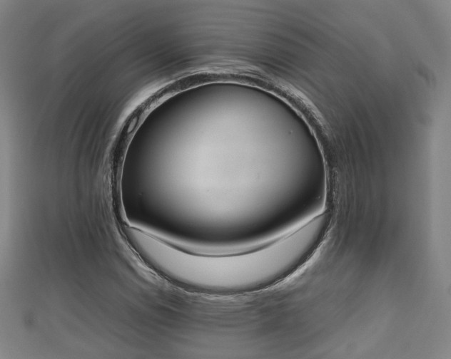 X0000111351114200907171137