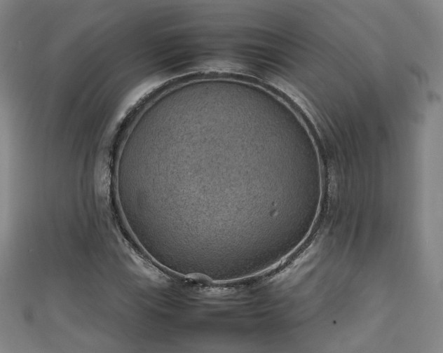 X0000111351115200907171137