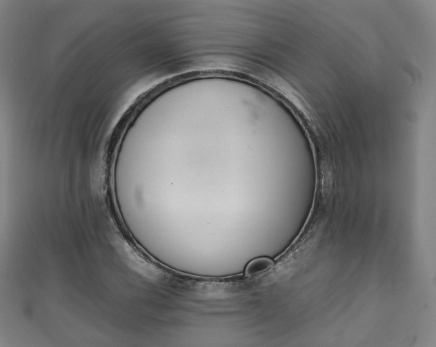 X0000111351116200907171137