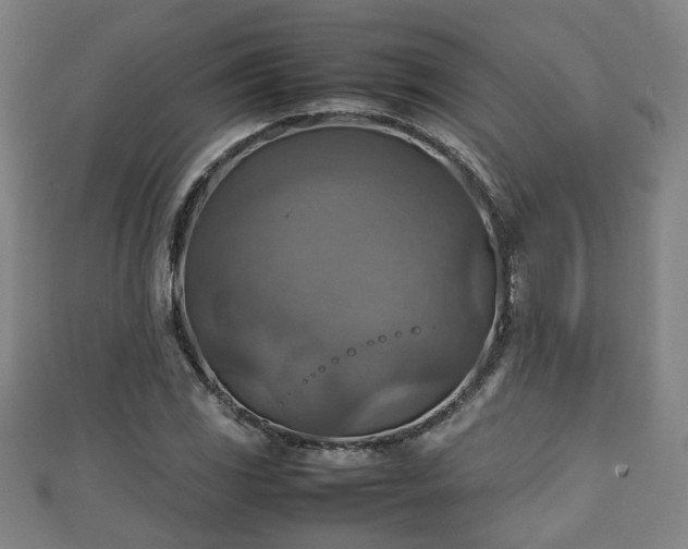 X0000111351117200907171137