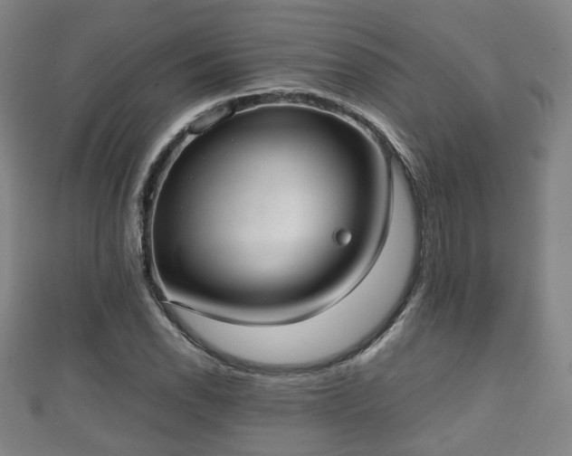 X0000111351118200907171137