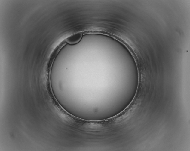 X0000111351119200907171137