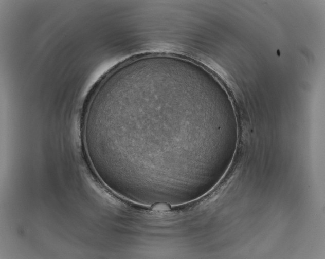 X0000111351120200907171137