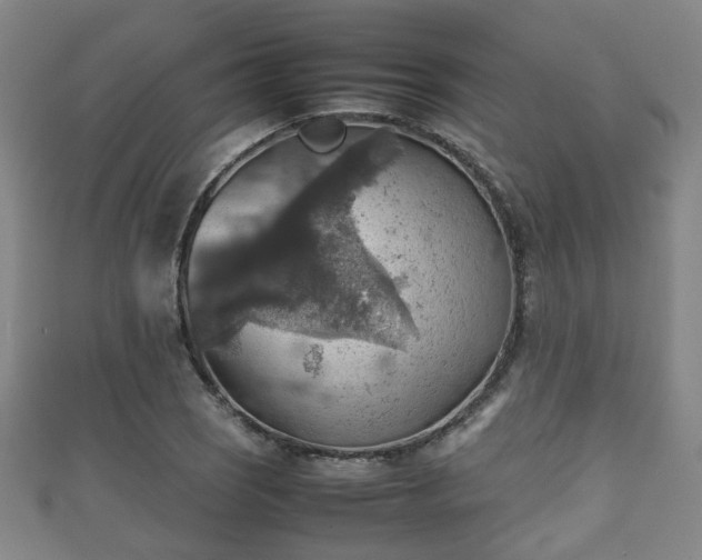 X0000111351121200907171137