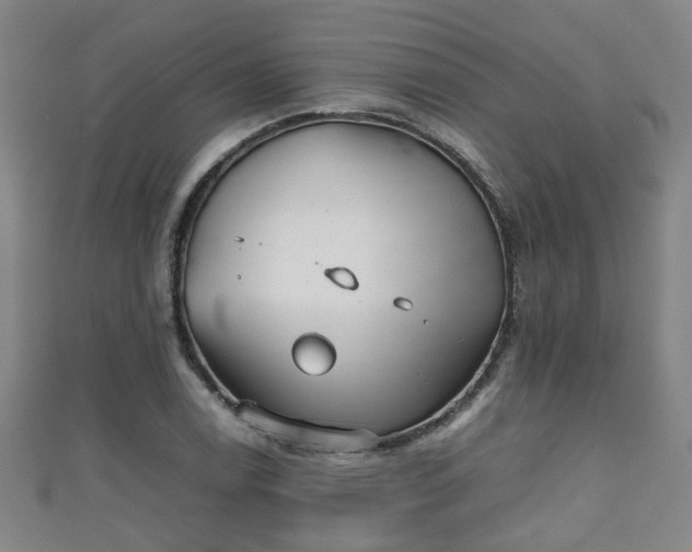 X0000111351122200907171137