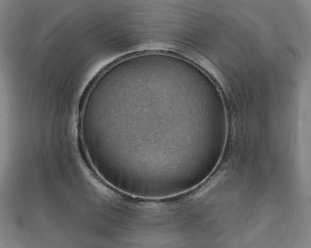 X0000111351124200907171137