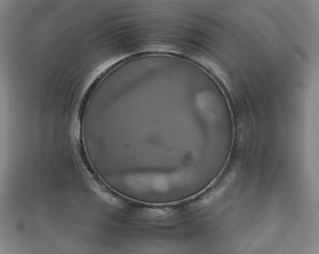 X0000111351125200907171137