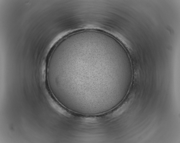 X0000111351126200907171137