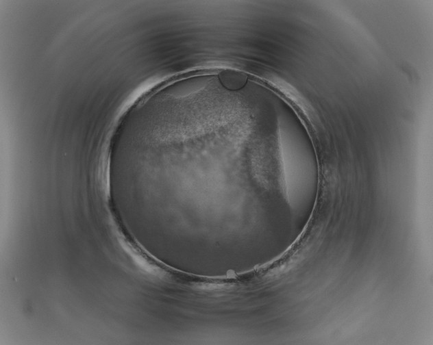 X0000111351127200907171137