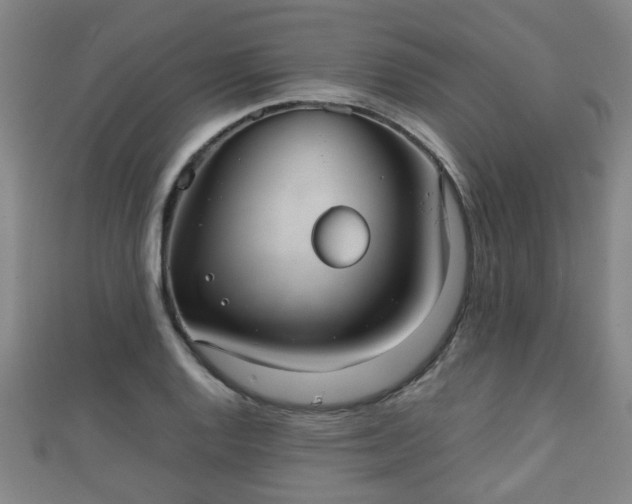 X0000111351128200907171137