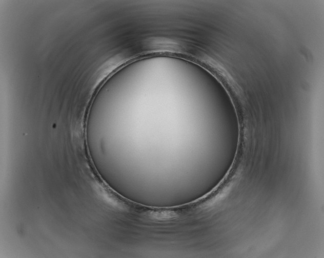 X0000111351129200907171137