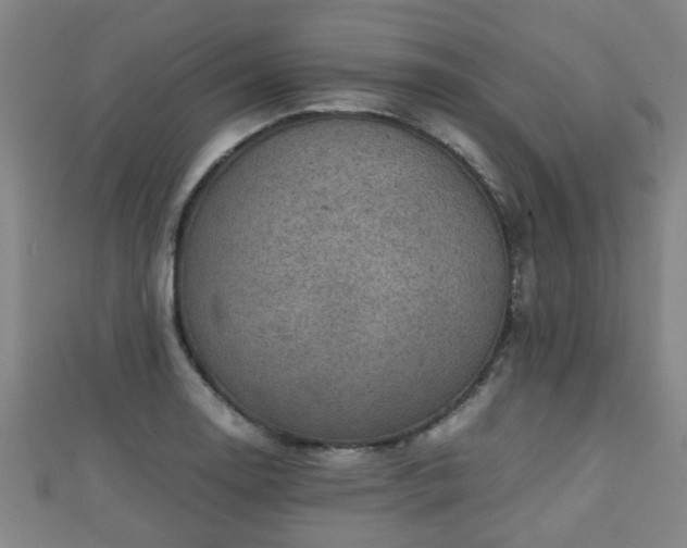 X0000111351130200907171137