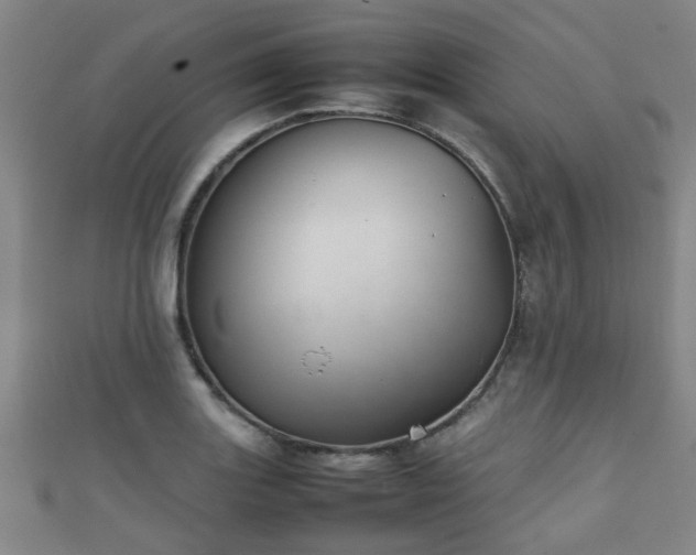 X0000111351131200907171137