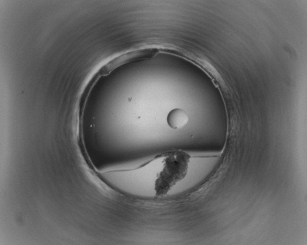 X0000111351132200907171137