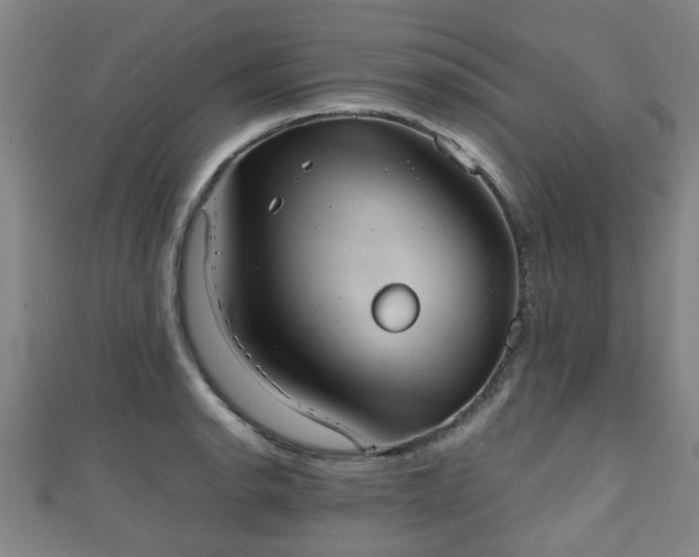 X0000111351134200907171137