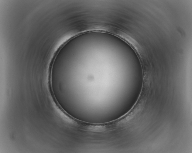 X0000111351135200907171137