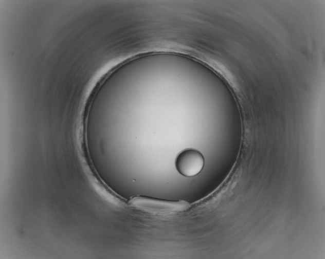 X0000111351136200907171137