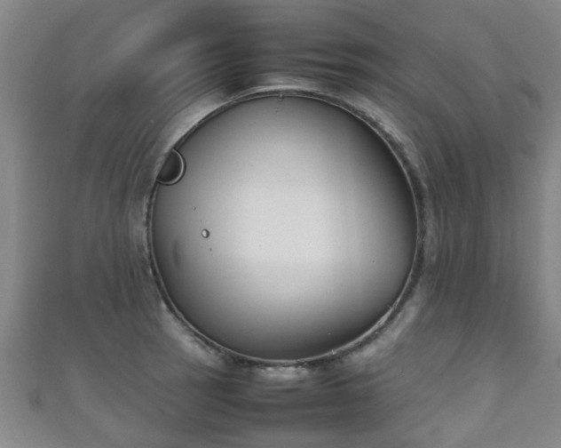 X0000111351137200907171137