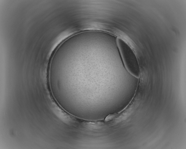 X0000111351138200907171137