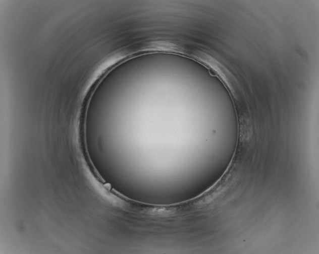 X0000111351139200907171137