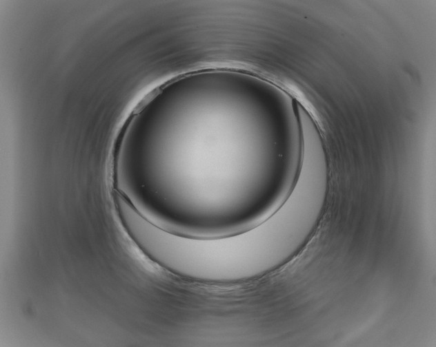 X0000111351140200907171137