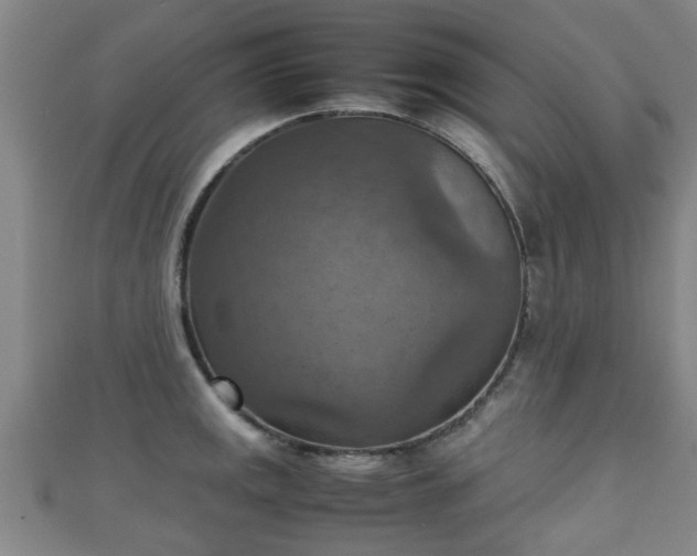 X0000111351141200907171137