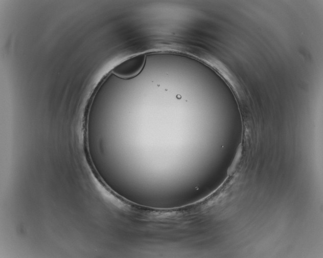 X0000111351143200907171137