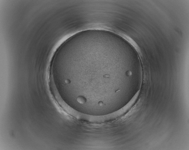 X0000111351144200907171137