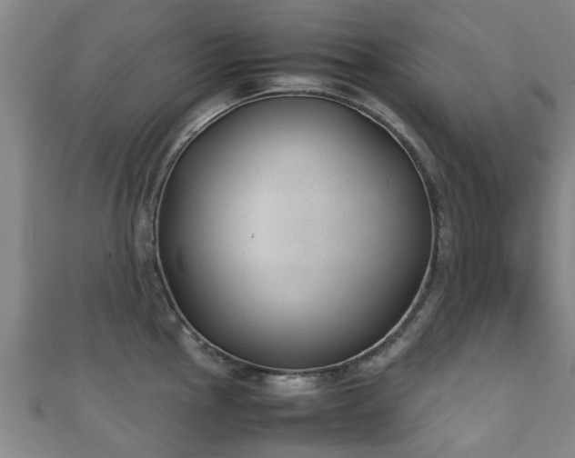 X0000111351145200907171137