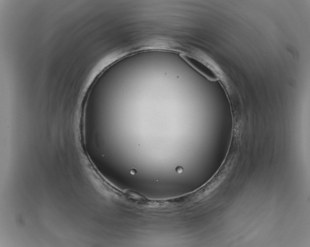 X0000111351146200907171137