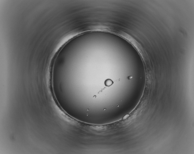 X0000111351147200907171137